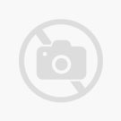 Ridley Raft XC Sram X01 1x12sp